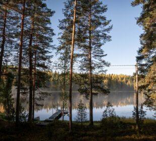 Dlaczego Finlandia ma jedną z najniższych gęstości zaludnienia w Europie