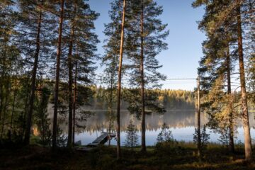 Dlaczego Finlandia ma jedną z najniższych gęstości zaludnienia w Europie