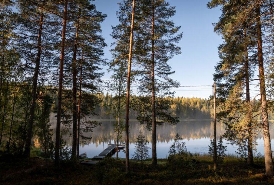 Dlaczego Finlandia ma jedną z najniższych gęstości zaludnienia w Europie