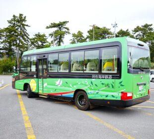 FlixBus kontra PKP Intercity - czym naprawdę różni się podróż między miastami