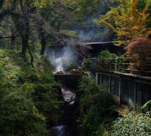 Japonia sprzedaje puste domy za bezcen. Problemem nie jest brak nieruchomości