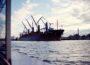 Port Gdańsk kontra port w Gdyni - kto obsługuje więcej towarów
