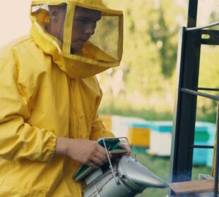 Zwykli ludzie wykonujący niezwykłe zawody