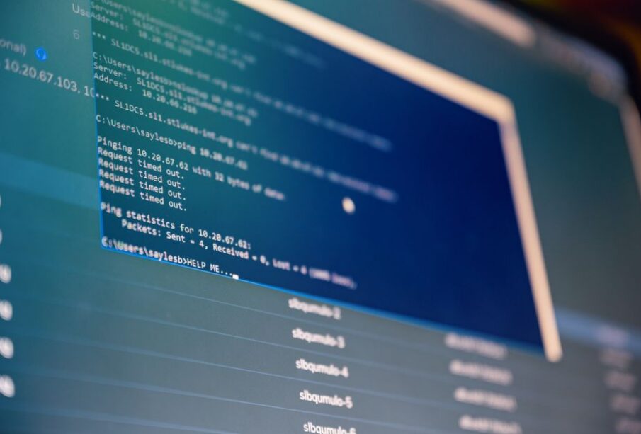 cyfrowe usługi